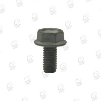 Cam Sensor Plug Bolt - Toyota 3RZ Cam Sensor Plug Bolt - Toyota 3RZ