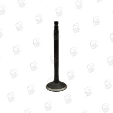 Exhaust Valve - Nissan TB48DE
